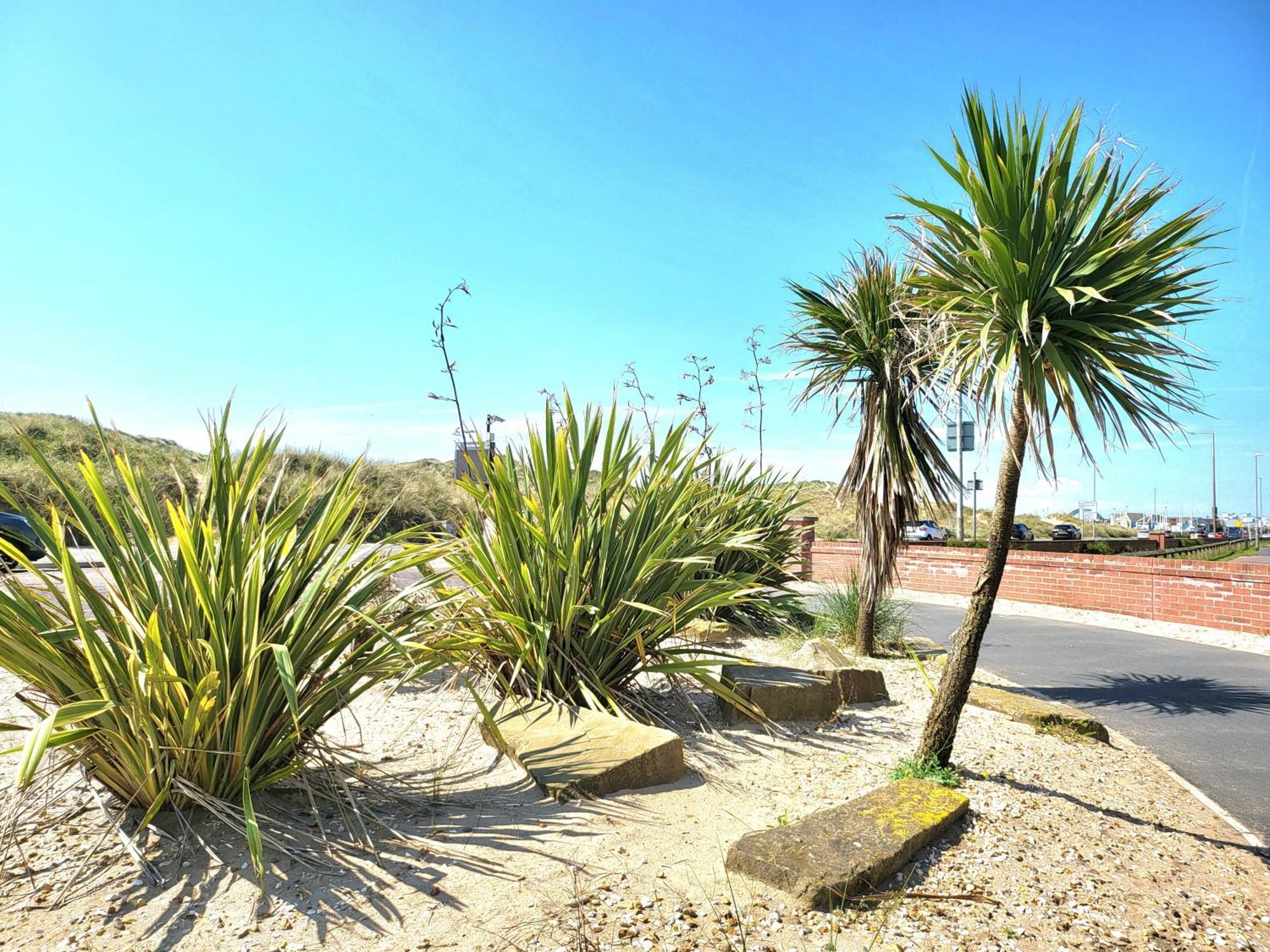 Seaside Beach Themed Home With Garden And Driveway Lytham St Annes Dış mekan fotoğraf